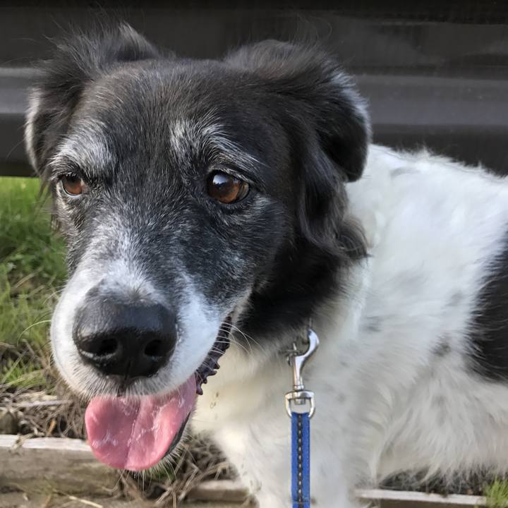 96422756 249e 4403 b45a 843339fb90b2