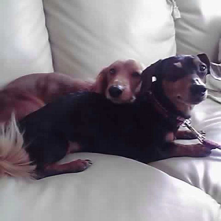 9642c842 4851 48e3 9c1b 87183ab16960