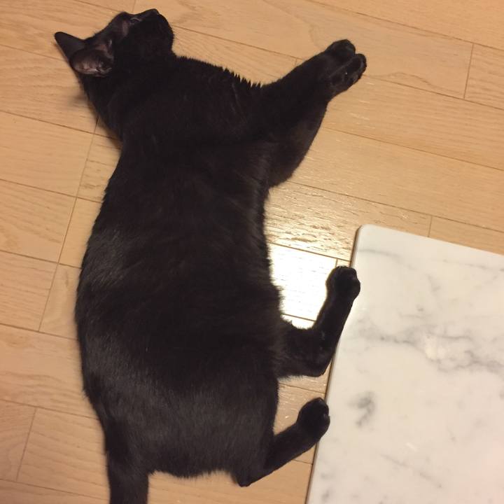 9643262d c811 4fb4 9bb2 5de933967044