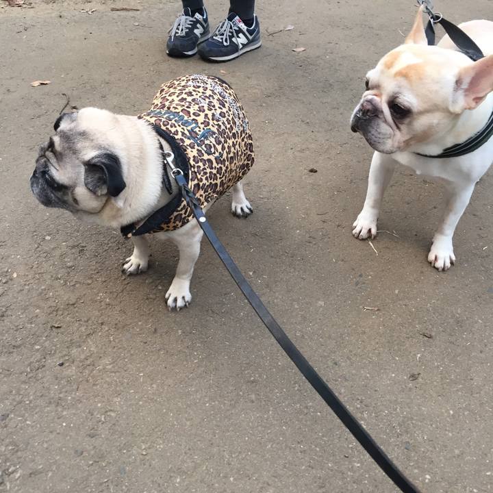 9643a351 bbe8 41c9 8401 06849e03046d