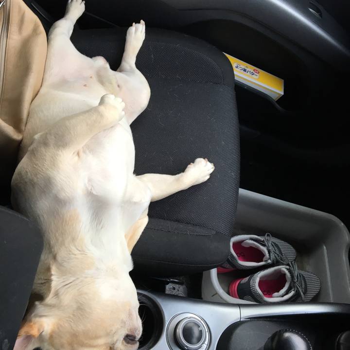 964409a5 d386 4a14 bd5e 8092ba6020ff