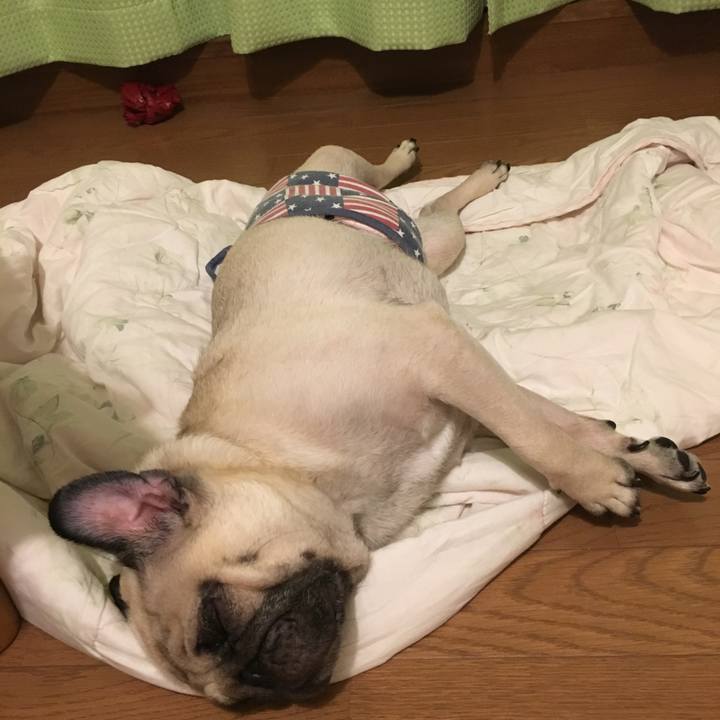 96443b50 57b4 49c2 b046 f73a44ce15a7