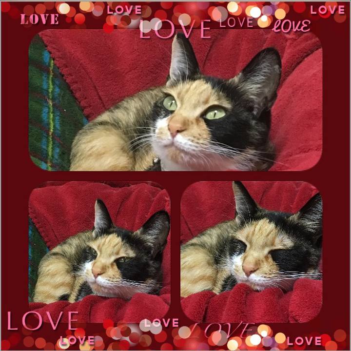 96447f1d d5eb 4a43 8360 34ef7df660c2