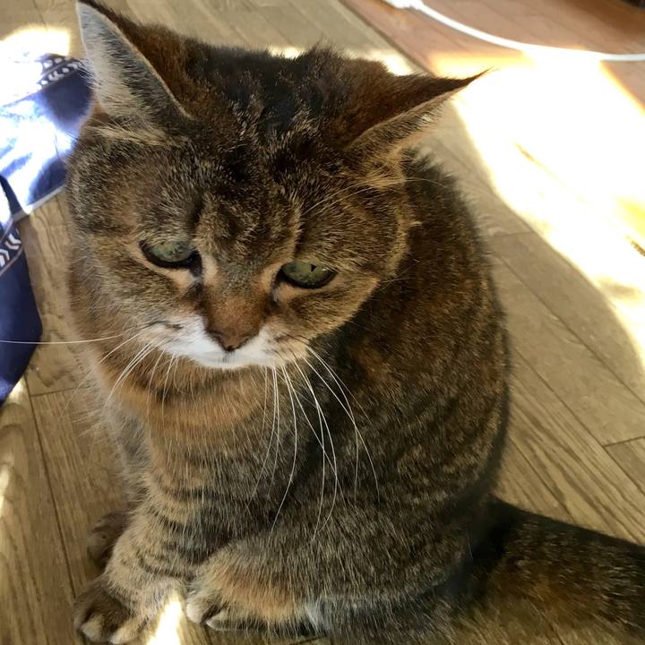 96448fe6 0c9f 42fc a6e8 f1b7d43ee8dd