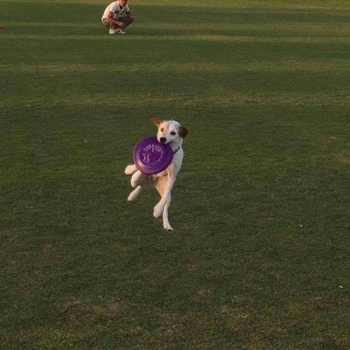 9644ae68 7b3c 442f 8295 d5268e4e2673