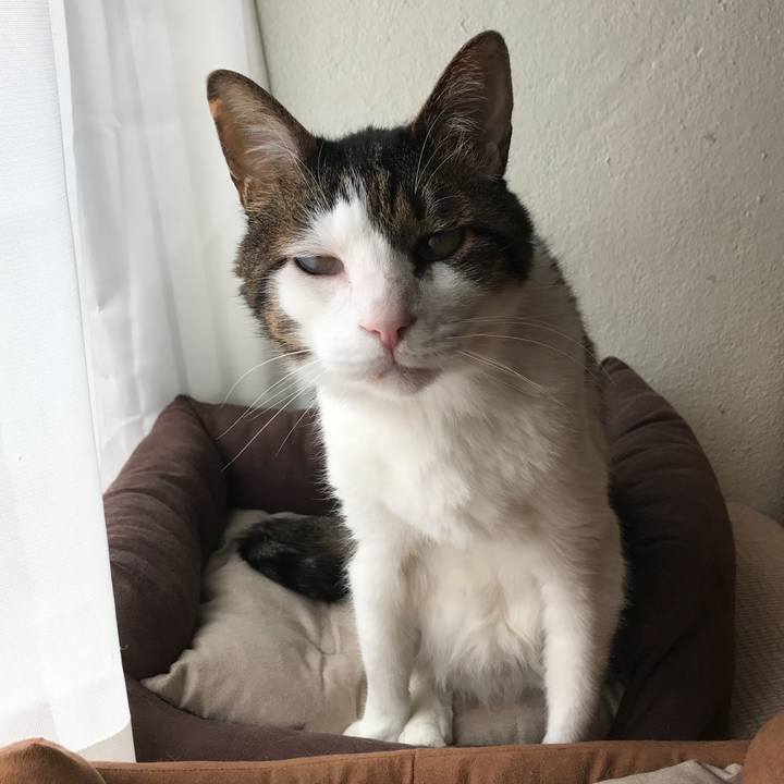 9644bfe6 52c1 4ddc b102 093380de547c