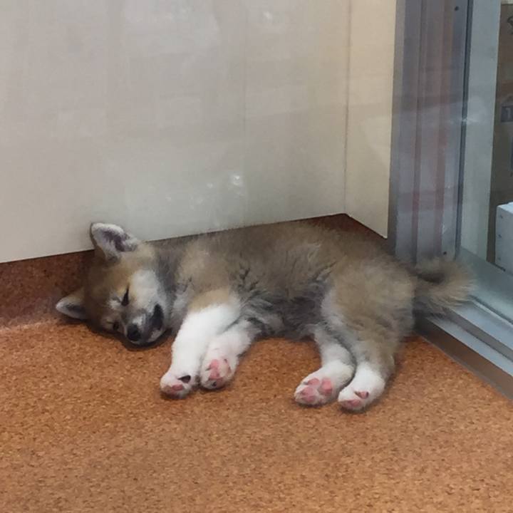 964502fc b06f 4a14 a0e1 2614b94347ca