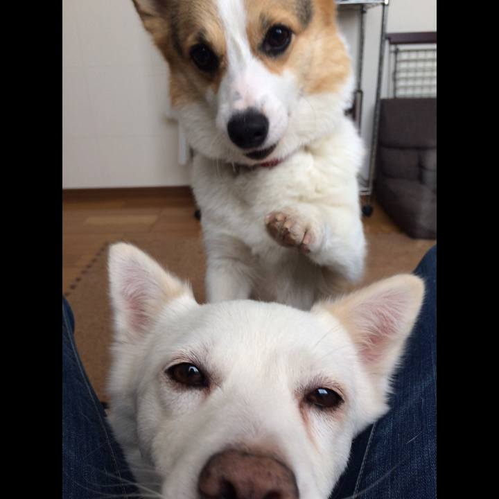 96457330 7209 401c 8cd4 9fb422d7754d