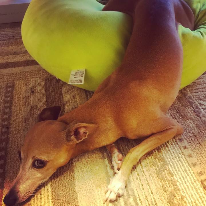 9645c9fb 7200 40de 8c8e dcda9464d3aa