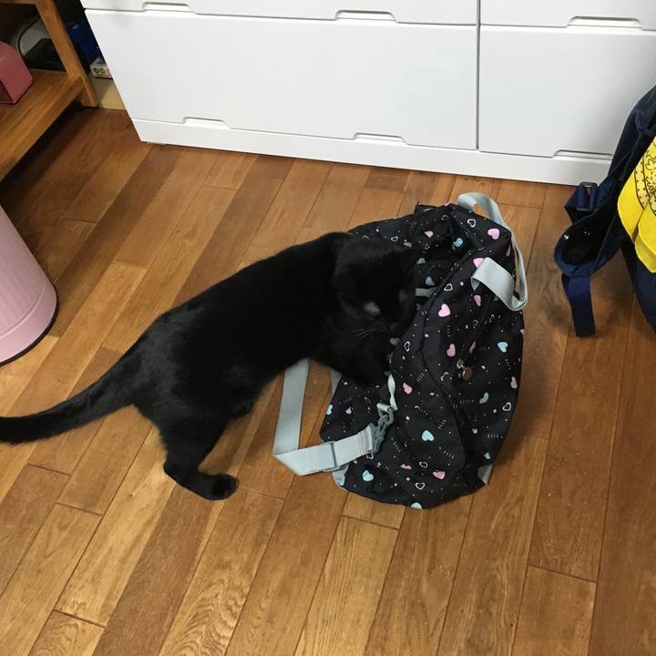 964686fc ddb4 40f1 8d73 baa280c63f43