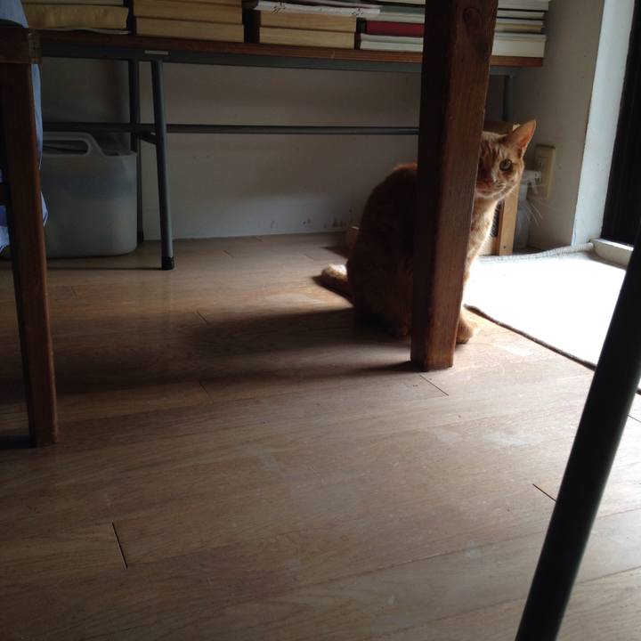 9646c2fb 5200 4549 8c7e aa28ecc4f10e