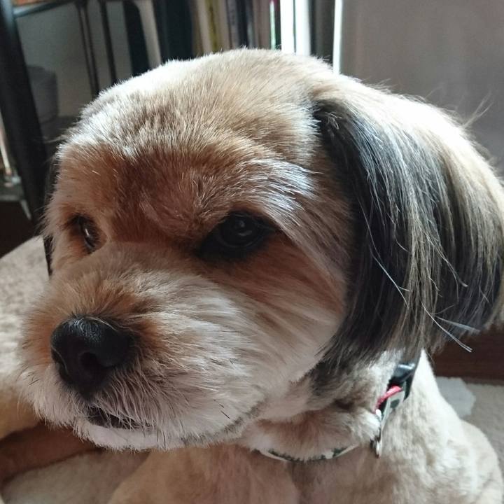 96470c7a 3469 42d6 ac9c abba239c474b