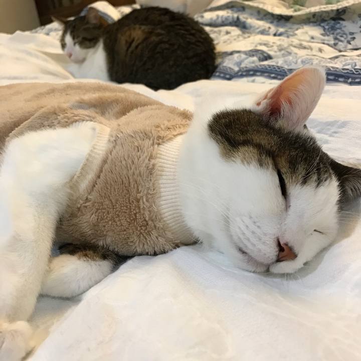 96476285 1454 4ff6 b94e ad38f0a055a6