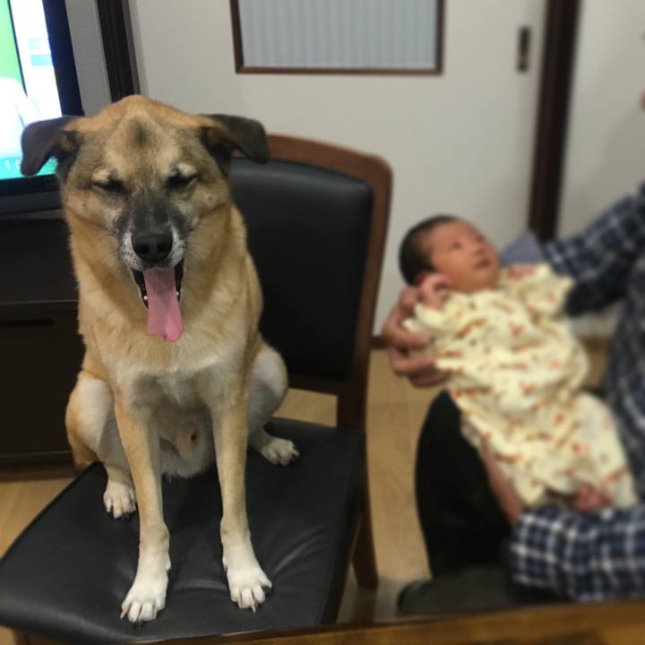 9647b159 b6d1 4519 b5a6 471b1b760a1d