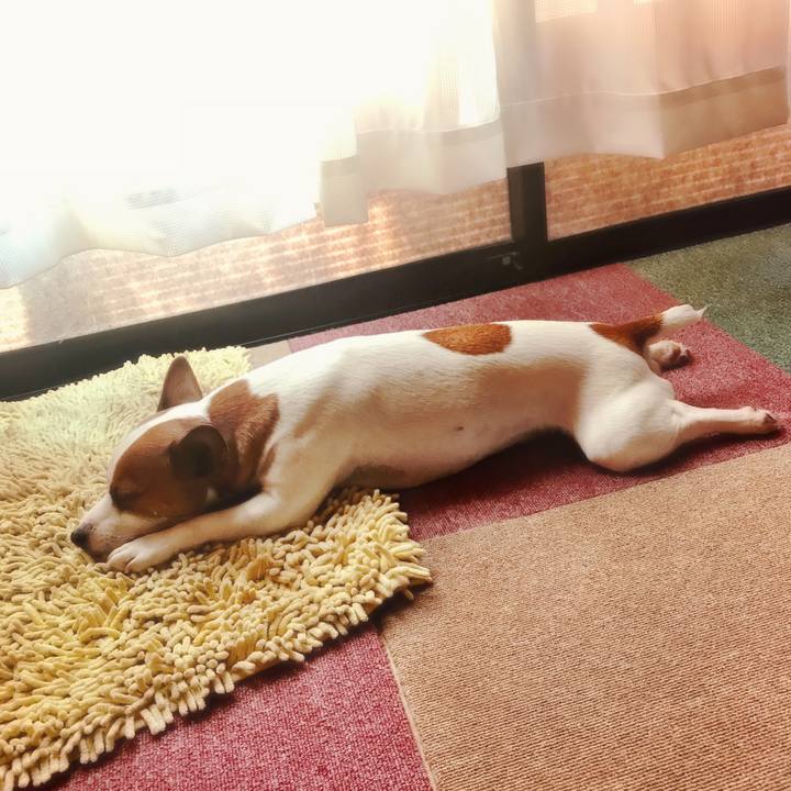 9647f896 04cf 4ce4 9d68 4095ec846392