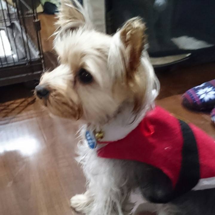 9648a333 86d6 4962 878f a0d7f33fc476