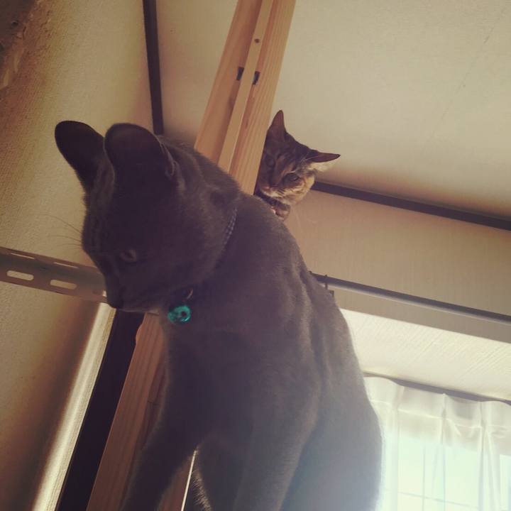 96491971 49c2 420d 9338 751d73df99e1