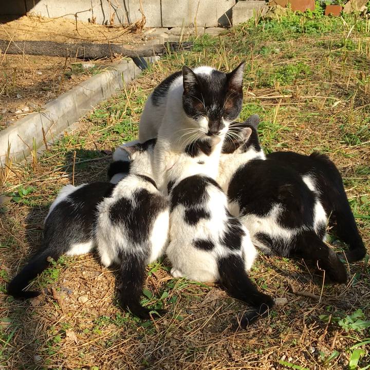 96497a19 83b7 4f3a ae27 c6a2d6d61337