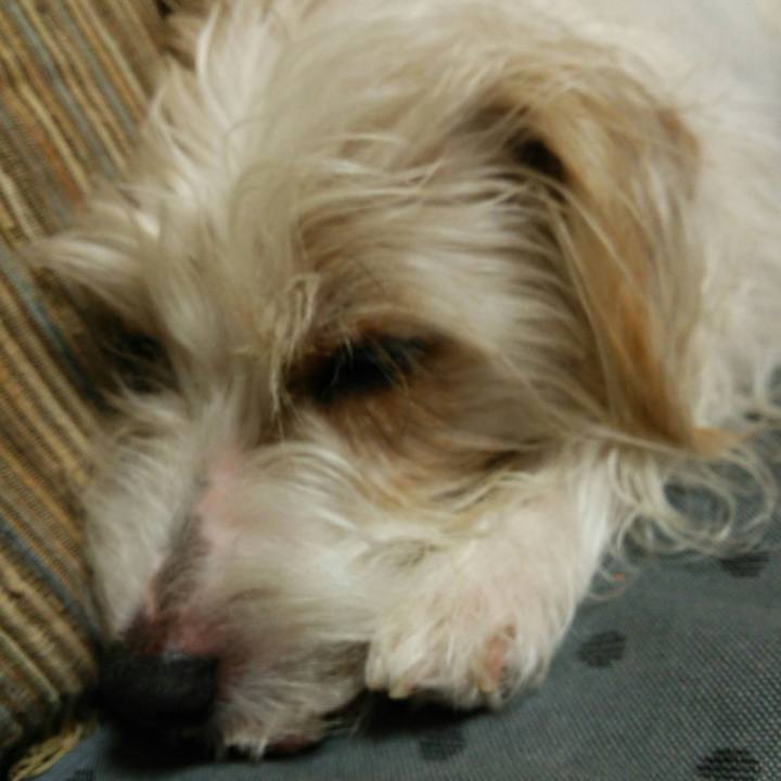 96499760 0599 4d07 909a a9c949192efc