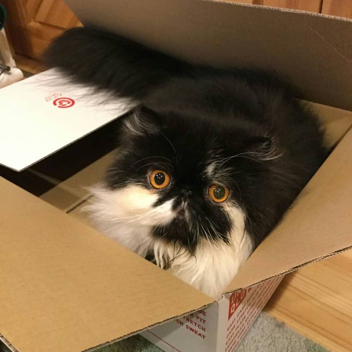 96499f0c c8b4 4279 9538 d3a0b609e821