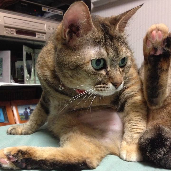 9649a79b 3f36 40a6 be7f 9d2fc5e5c935