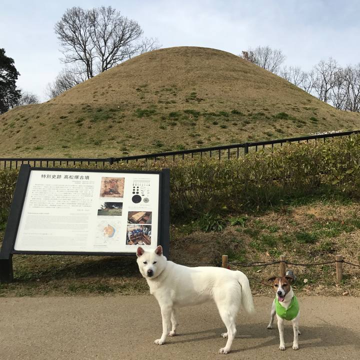 9649ce09 4380 4eff a847 bf0ddd0283e9