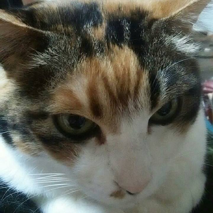 964a1dba 906d 4ab2 951b 6df5821833d0