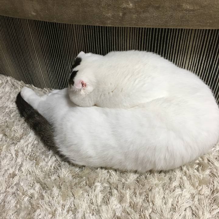 964abcf5 f330 45ed 88cb 645f6765b4bf