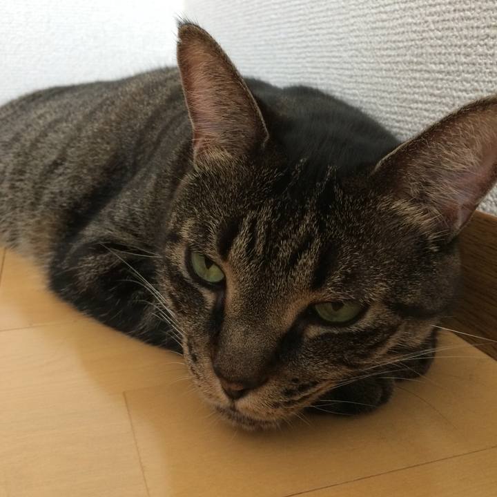 964ae5cd 89aa 4490 aa62 4a58ed841633