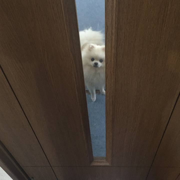 964b47df 903d 45d7 a899 690650d63216