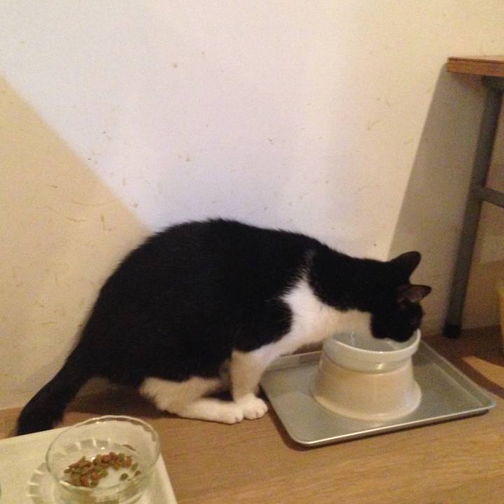 964b4ed2 29ae 49c4 a24b bae599eb3b86