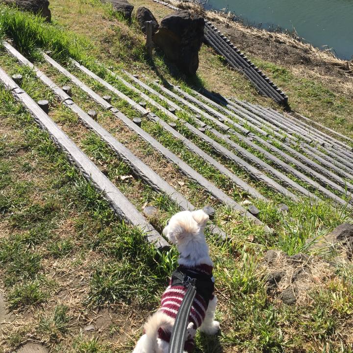 964bc845 fa53 4aa2 8648 96cdd0ce6bbd