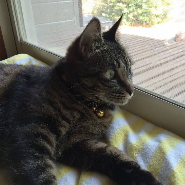 964cf5d4 f85b 456a 8a7d 429b170c7f3a