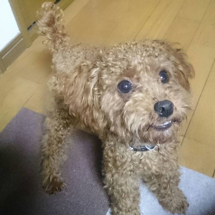 964d36c5 3ad9 4f81 ab7c b7f6b61636a8