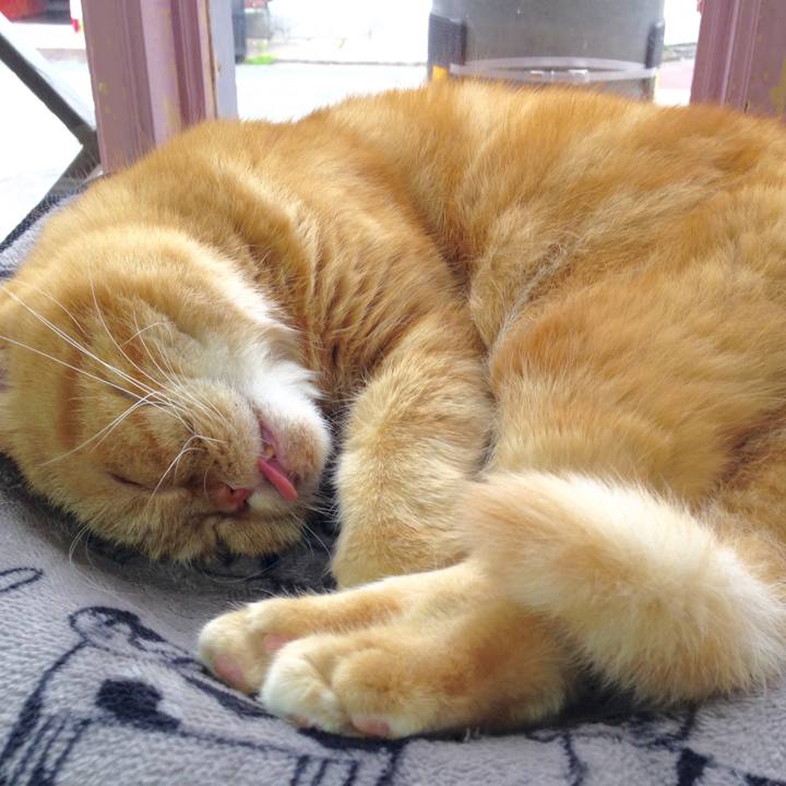 964d9d22 b5ed 437a 9329 bc92beacb70a