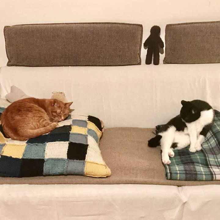 964da5a4 2851 4dcf ace2 4e73ae3de6c5