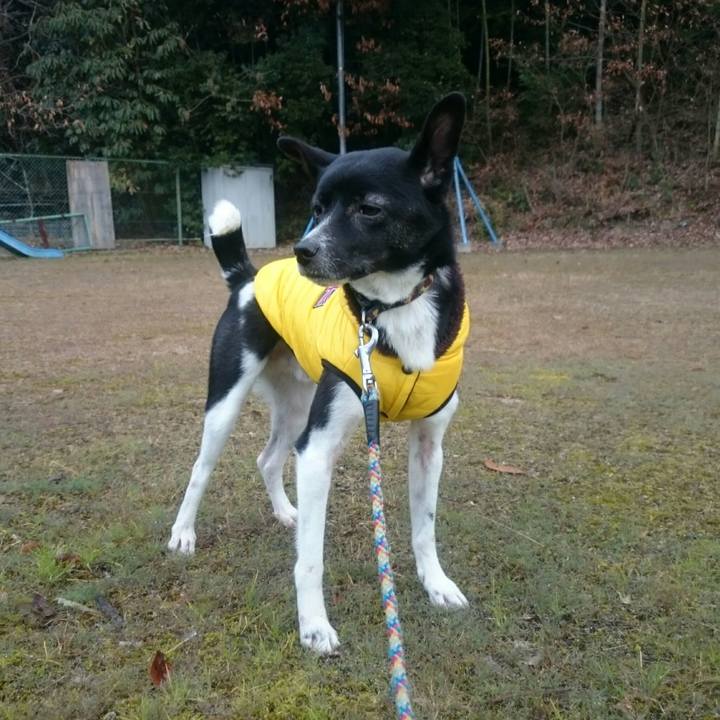 964dc50d 5dc5 4911 89cf 66addb73774e