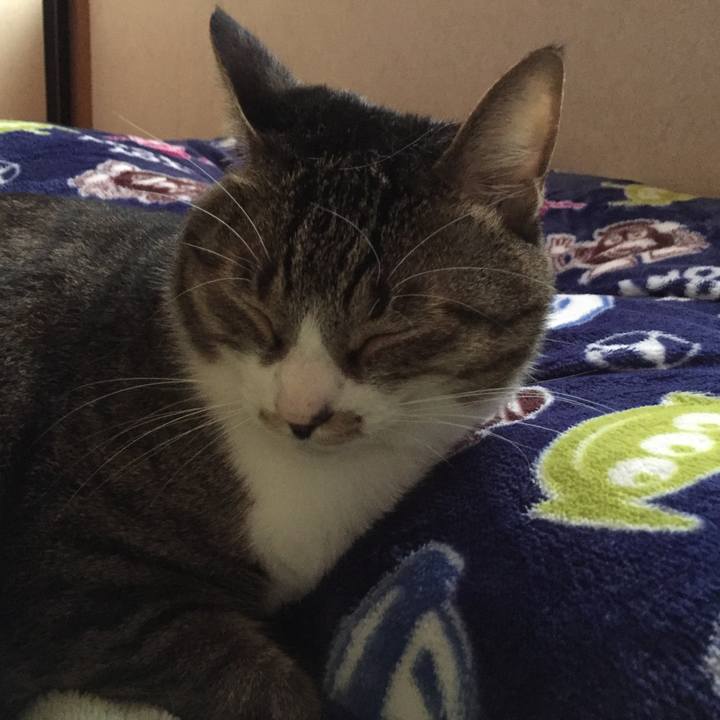 964dcc66 2770 456d a58a effd8516a42c