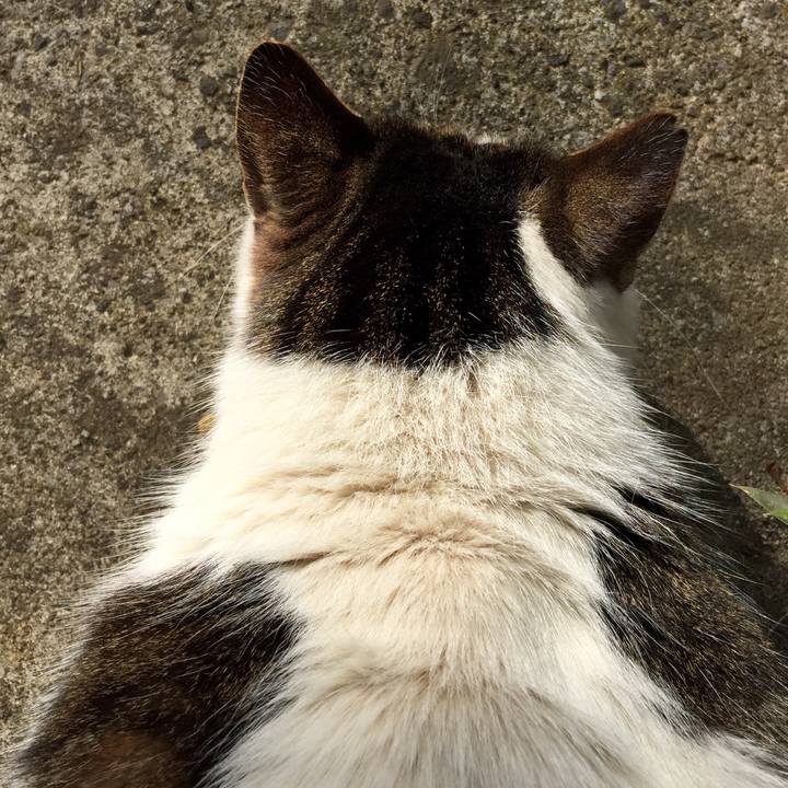 964dcf5f 9509 4d69 9795 4664d42268a7