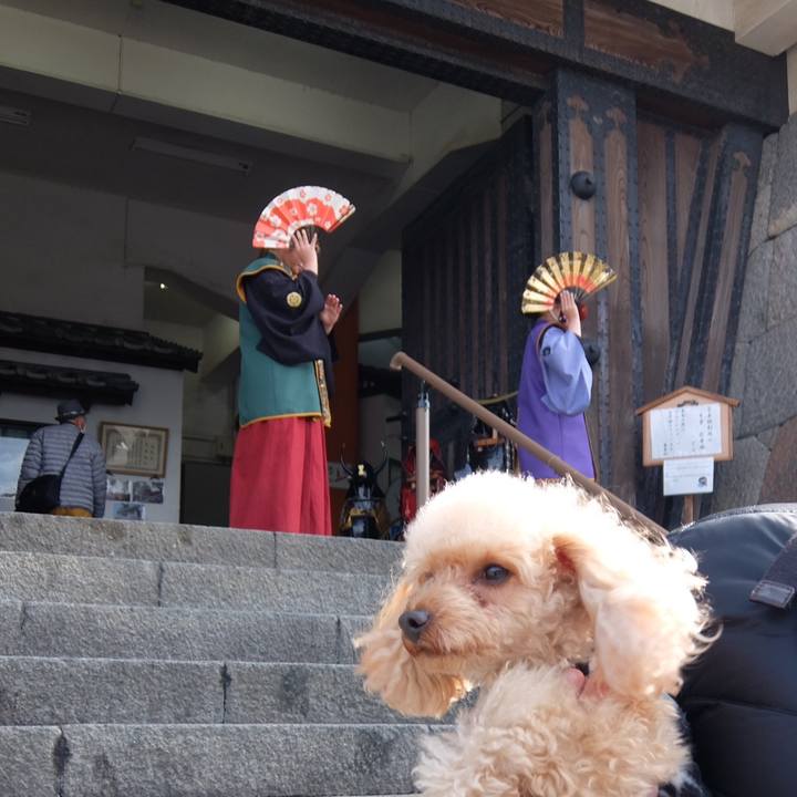 964defe6 3fcf 4c18 9e2e f72c5aa54c98