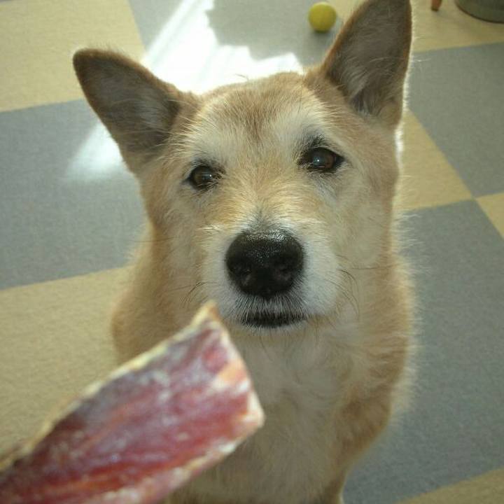 964e065e adfc 4aee 851c a75f0f879e9a