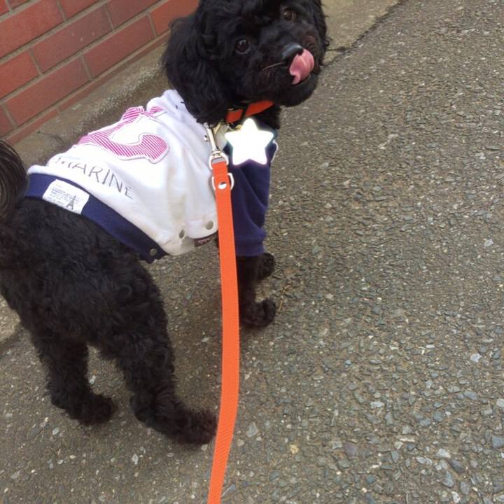 964e178b 70bd 46c4 b0cb 264eff547e96