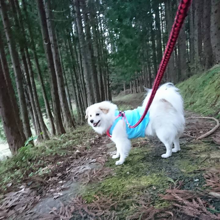 964e248a 3527 48f0 b96c ec2fa42b7e3e