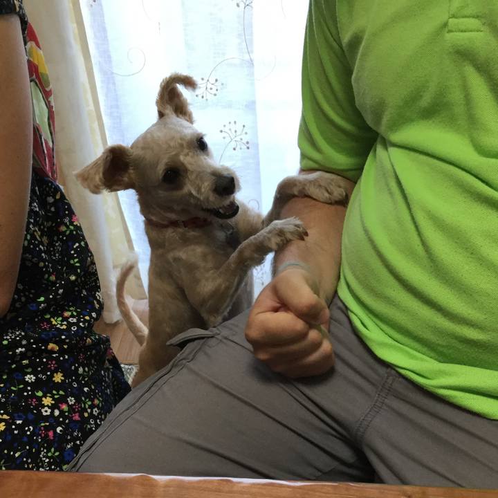 964e5af0 46e0 4f00 a10a 0874f41d0949