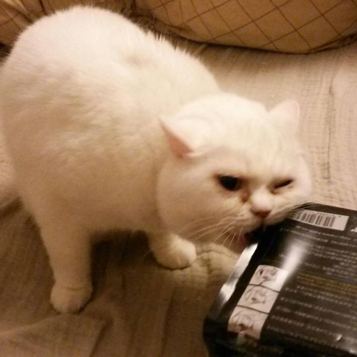 964e8bd3 d61f 4a8a b4b2 d4f4c9d1b7a0