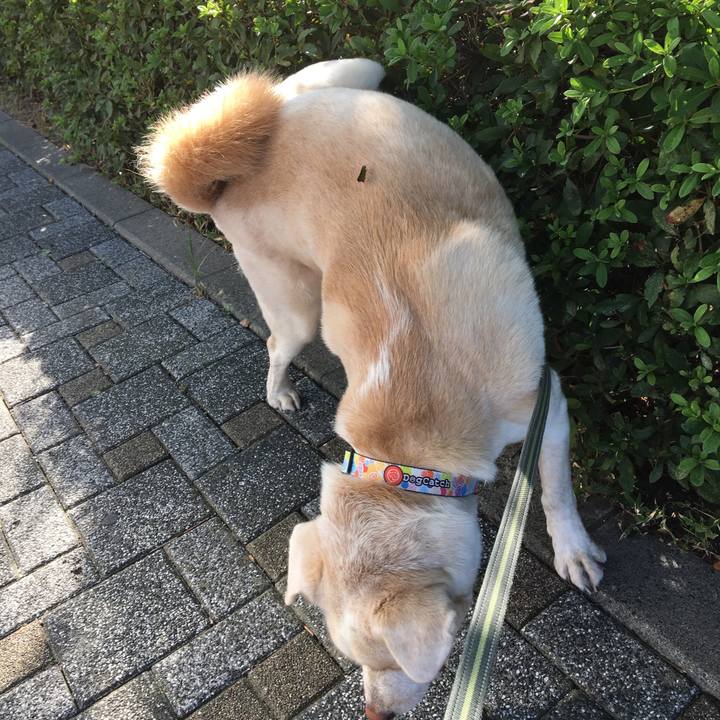 964e9095 5cbe 418f 9586 e67934254bdc