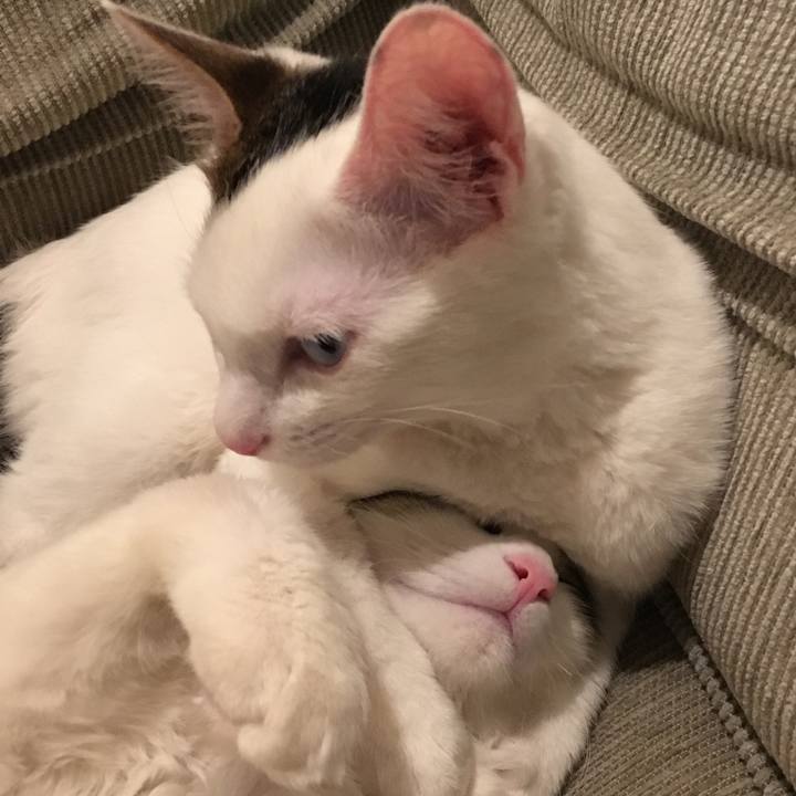 964ebfde dc46 43b0 b9b8 ed5e4beb4416