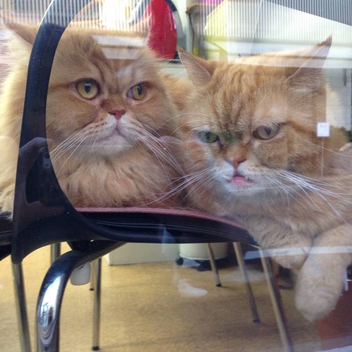 964ed56d 3f23 4300 98e8 7c72bc222355