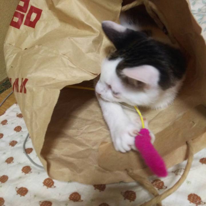 964f07d5 55f4 41be 974e c00b9e180e23