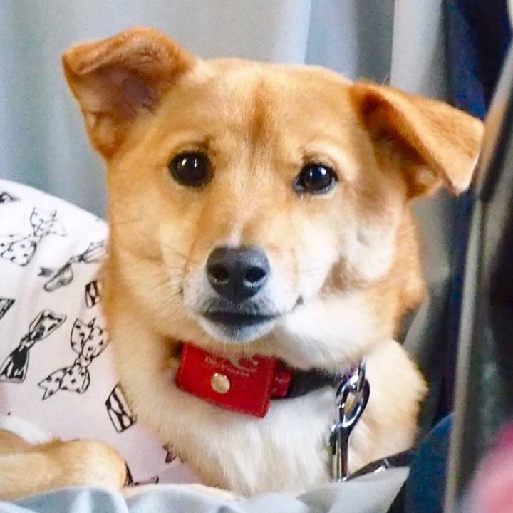 964f6d57 00f9 462a b705 540eefdcc5b0